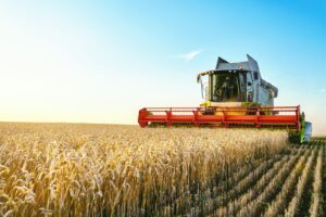 Read more about the article Grains Futures Roll Over Ahead of July Options Expiration