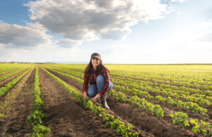 Read more about the article Soybeans Fall Back to Close Mixed